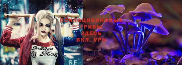 дурь Нефтегорск