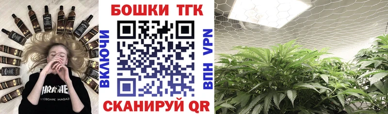 Купить закладки  Дудинка  Бошки Шишки конопля 